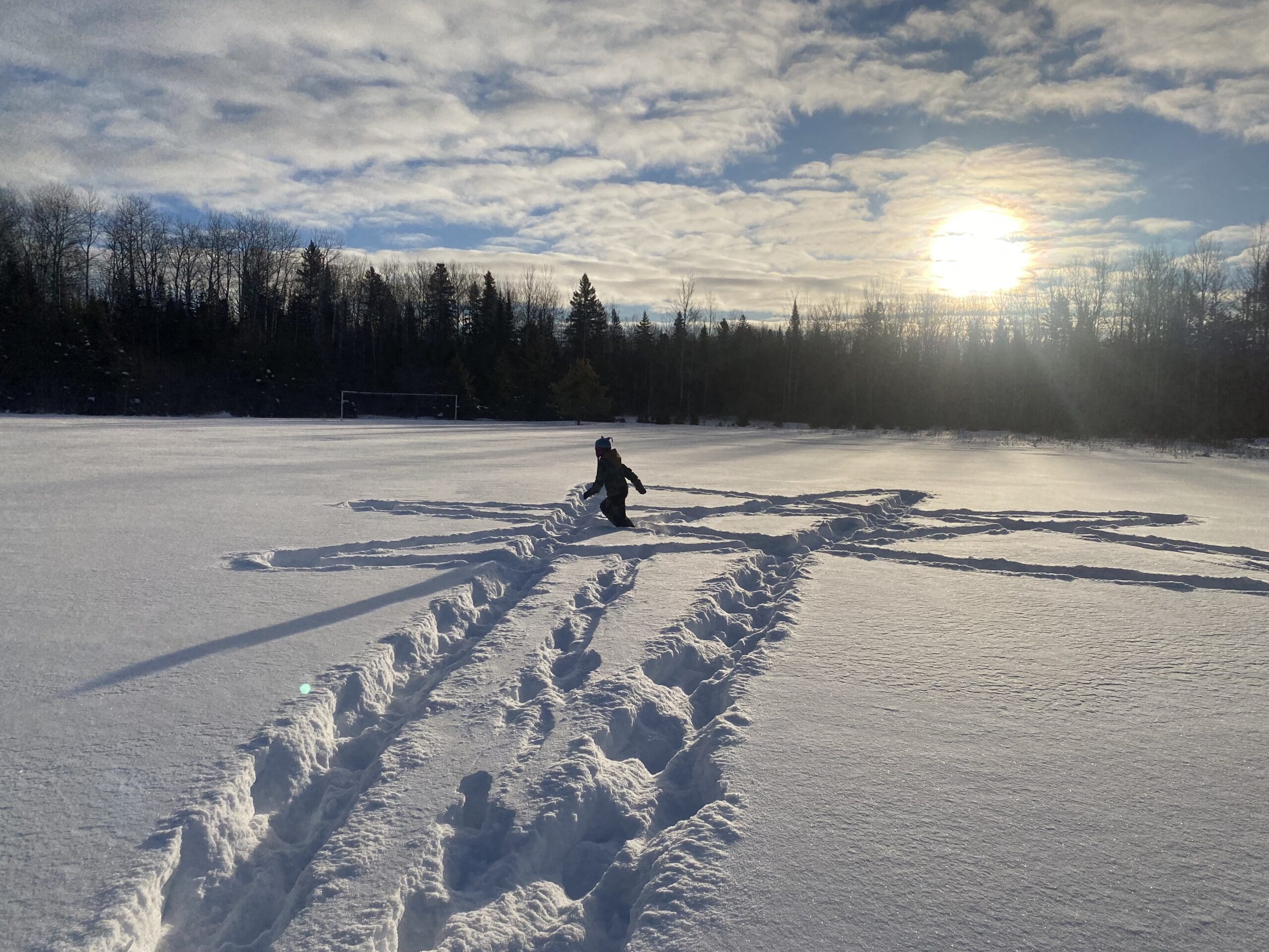 Children amongst the trees